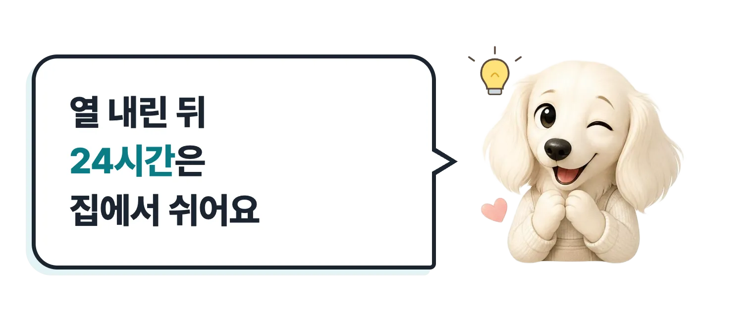 윙크하는 닥스훈트 캐릭터: 열 내린 뒤 24시간은 집에서 쉬어요