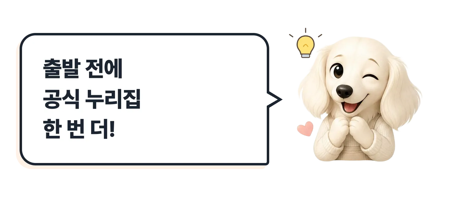 윙크하는 설기: 출발 전에 공식 누리집 한 번 더
