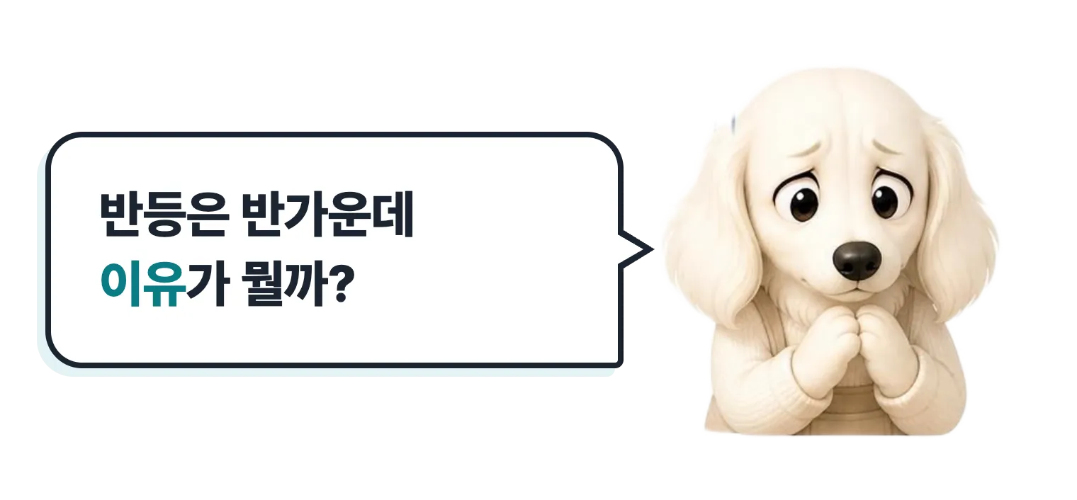 걱정하는 닥스훈트 캐릭터: 반등은 반가운데 이유가 뭘까?