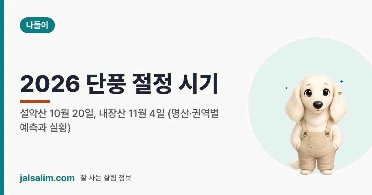 2026 단풍 절정 시기: 설악산 10월 20일, 내장산 11월 4일 (명산·권역별 예측과 실황) 대표 이미지