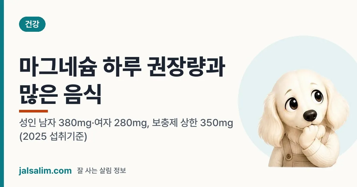 마그네슘 하루 권장량과 많은 음식: 성인 남자 380mg·여자 280mg, 보충제 상한 350mg (2025 섭취기준) 대표 이미지