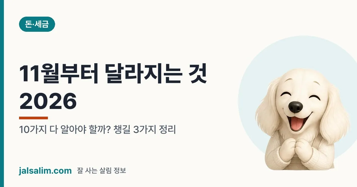 11월부터 달라지는 것 2026: 10가지 다 알아야 할까? 챙길 3가지 정리 대표 이미지