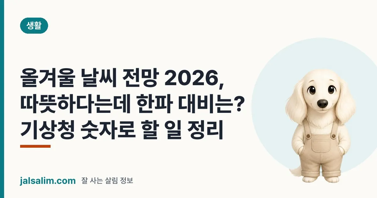 올겨울 날씨 전망 2026, 따뜻하다는데 한파 대비는? 기상청 숫자로 할 일 정리 대표 이미지
