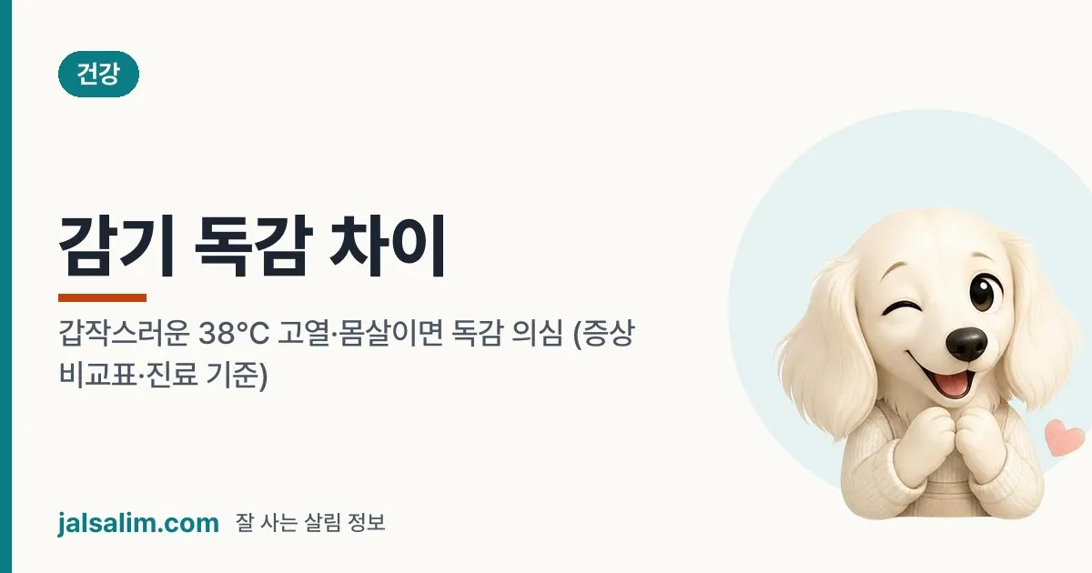 감기 독감 차이: 갑작스러운 38℃ 고열·몸살이면 독감 의심 (증상 비교표·진료 기준) 대표 이미지