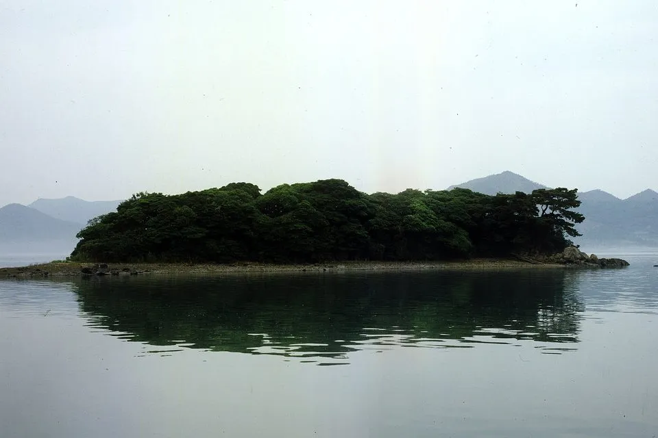 잔잔한 강진만 바다 위에 떠 있는 상록수림 섬 까막섬(갈대 사진 아님, 강진만 풍경)