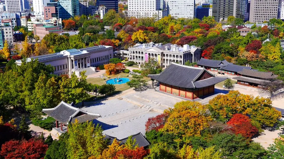 높은 곳에서 내려다본 가을 단풍 속 덕수궁