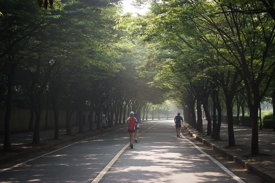 가로수가 터널처럼 이어진 인천대공원 산책로