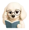 안경 쓴 설기