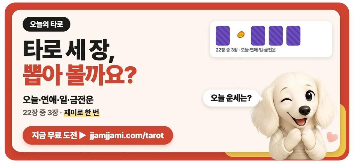 짬짬이 오늘의 타로: 핼러윈 밤, 타로 세 장 뽑아 볼까요? 타로 뽑기